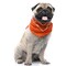 Paisley Polyester Set of 3 Dog & Cats Bandana Triangle Bibs - Regular Size